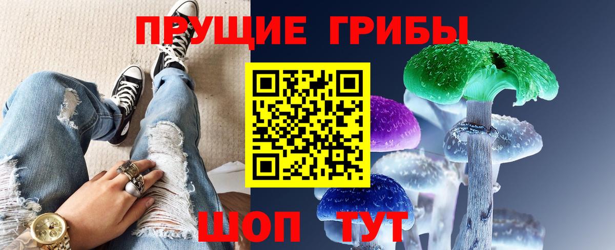 Екатеринбург  Галлюциногенные грибы GOLDEN TEACHER  Вход с VPN 